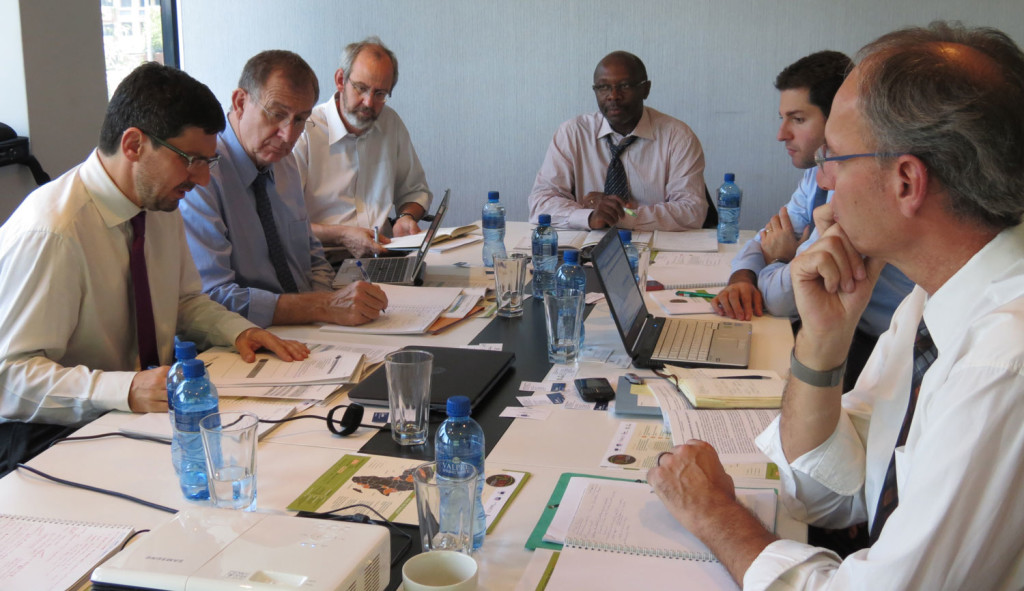 On-going discussions during the SC meeting with the participation of representatives from (from the left): PARM, AFD, NEPAD, IFAD, Italian government and EC.