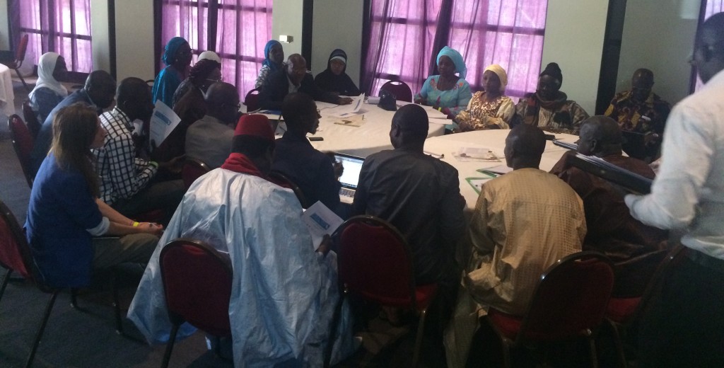 National stakeholders engaged in group discussions on specific agricultural risk management issues.