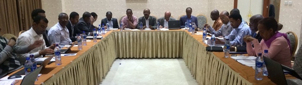 Technical Meeting on Information Systems for Agricultural Risk Management in Addis, 31 May 2016