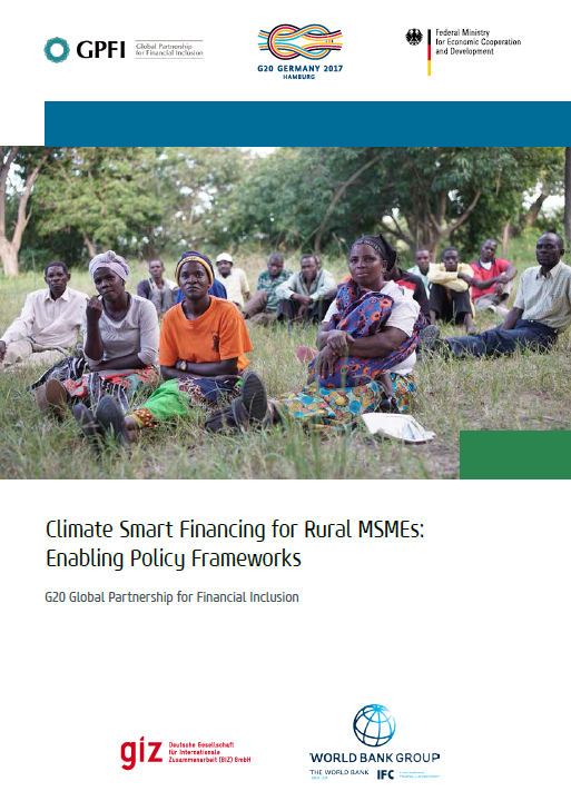 Policy Brief: Climate Smart Financing For Rural MSMEs: Enabling Policy ...